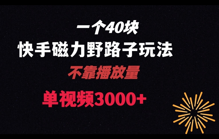 一个40块，快手联合美团磁力新玩法，无视机制野路子玩法，单视频收益4位数【揭秘】-文强博客