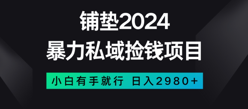 暴力私域捡钱项目，小白无脑操作，日入2980【揭秘】-文强博客