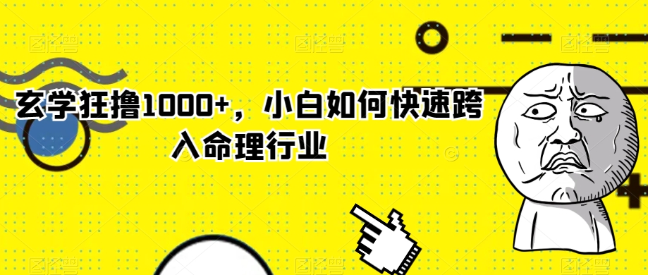 玄学狂撸1000+，小白如何快速跨入命理行业【揭秘】-文强博客