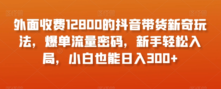 外面收费12800的抖音带货新奇玩法，爆单流量密码，新手轻松入局，小白也能日入300+【揭秘】-文强博客