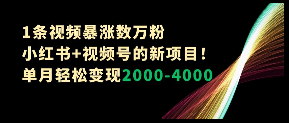 1条视频暴涨数万粉–小红书+视频号的新项目！单月轻松变现2000-4000【揭秘】-文强博客