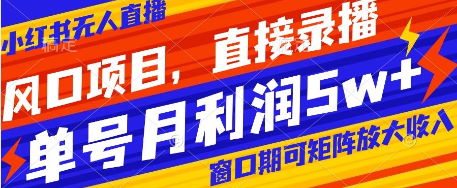 风口项目，小红书无人直播带货，直接录播，可矩阵，月入5w+【揭秘】-文强博客