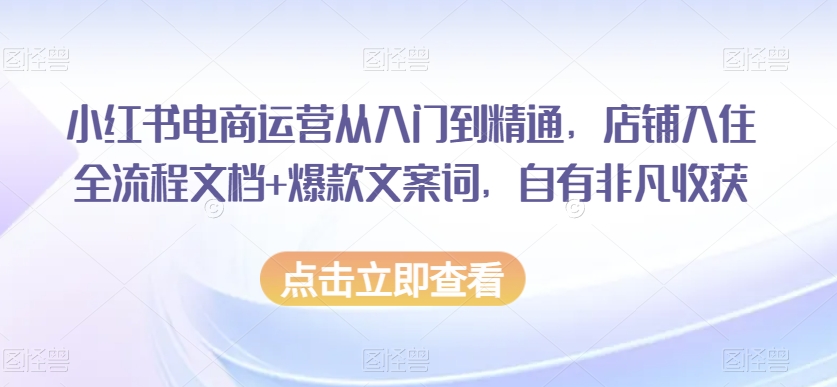 小红书电商运营从入门到精通，店铺入住全流程文档+爆款文案词，自有非凡收获-文强博客