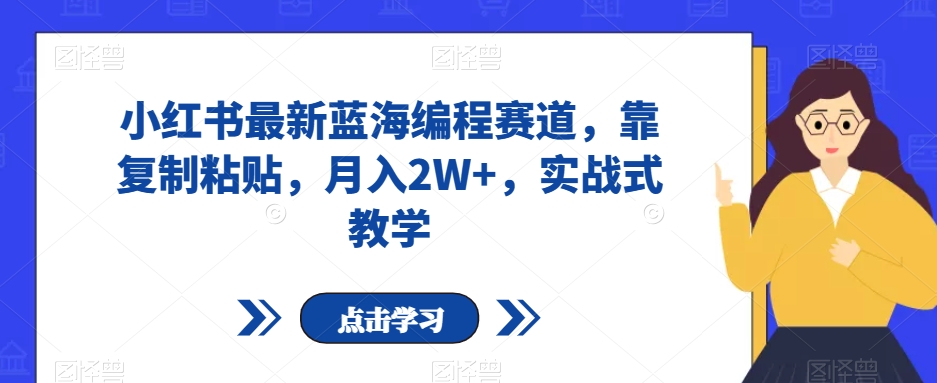 小红书最新蓝海编程赛道，靠复制粘贴，月入2W+，实战式教学【揭秘】-文强博客