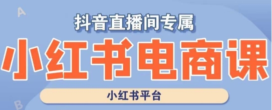 小红书电商高级运营课程，实操教学+案例分析-文强博客