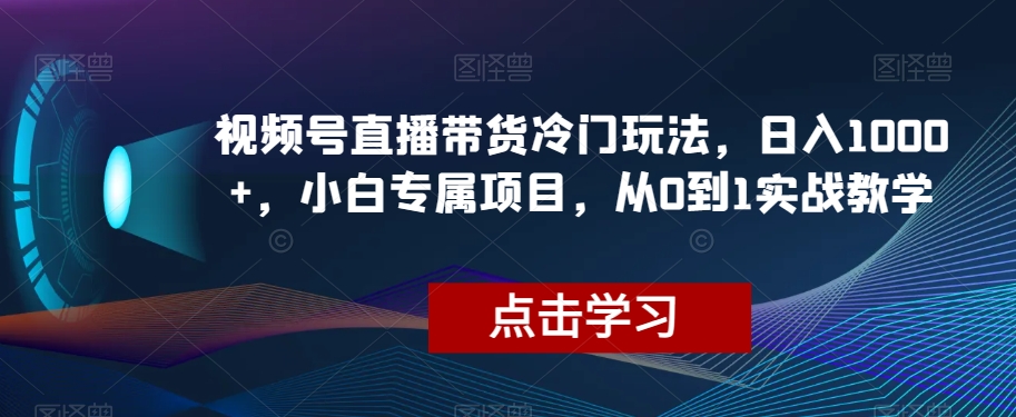 视频号直播带货冷门玩法，日入1000+，小白专属项目，从0到1实战教学【揭秘】-文强博客