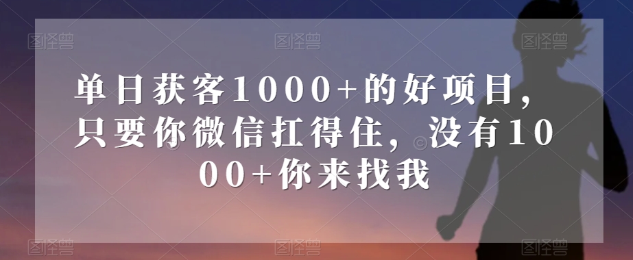 单日获客1000+的好项目，只要你微信扛得住，没有1000+你来找我【揭秘】-文强博客