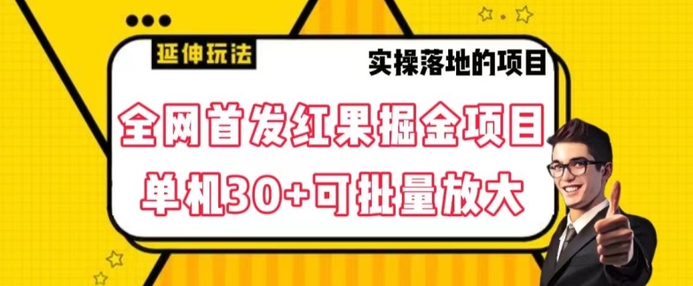 全网首发红果免费短剧掘金项目，单机30+可批量放大【揭秘】-文强博客