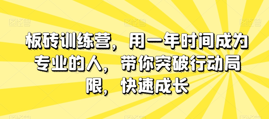 板砖训练营，用一年时间成为专业的人，带你突破行动局限，快速成长-文强博客