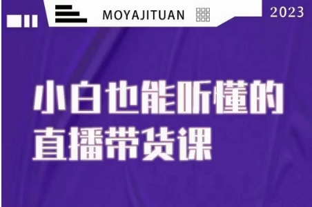 大威本威·能听懂的直播带货课，小白也能听懂，20节完整-文强博客