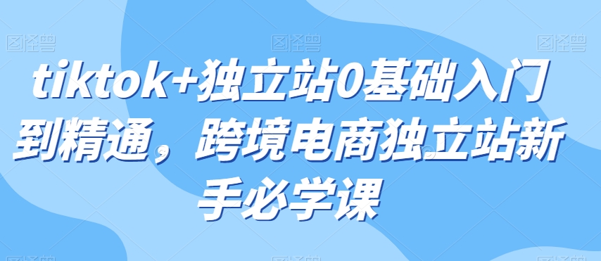 tiktok+独立站0基础入门到精通，跨境电商独立站新手必学课-文强博客