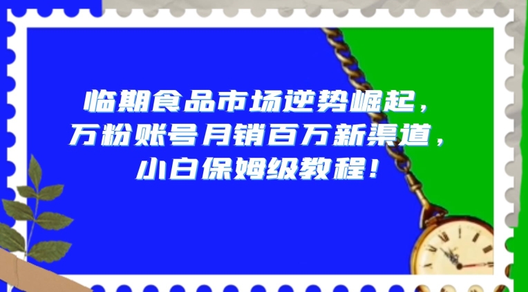 临期食品市场逆势崛起，万粉账号月销百万新渠道，小白保姆级教程【揭秘】-文强博客