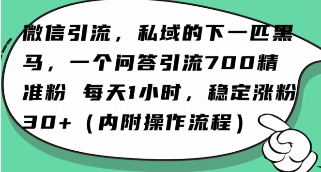 怎么搞精准创业粉？微信新赛道，每天一小时，利用Ai一个问答日引100精准粉-文强博客