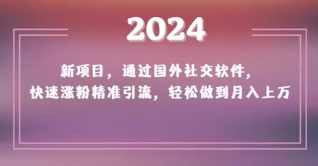 2024新项目，通过国外社交软件，快速涨粉精准引流，轻松做到月入上万【揭秘】-文强博客