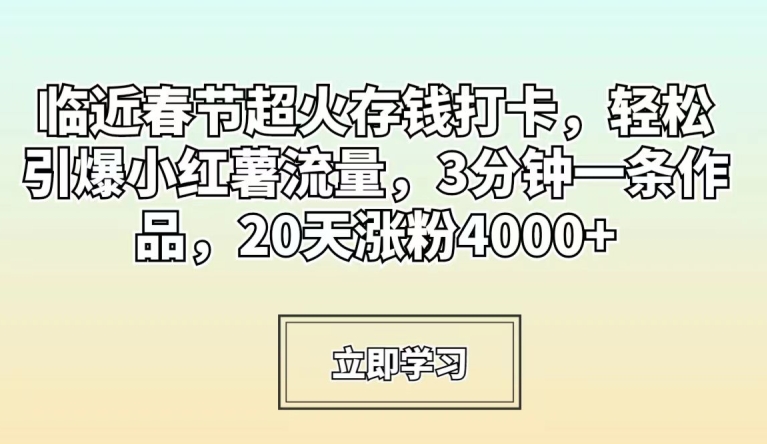 临近春节超火存钱打卡，轻松引爆小红薯流量，3分钟一条作品，20天涨粉4000+【揭秘】-文强博客