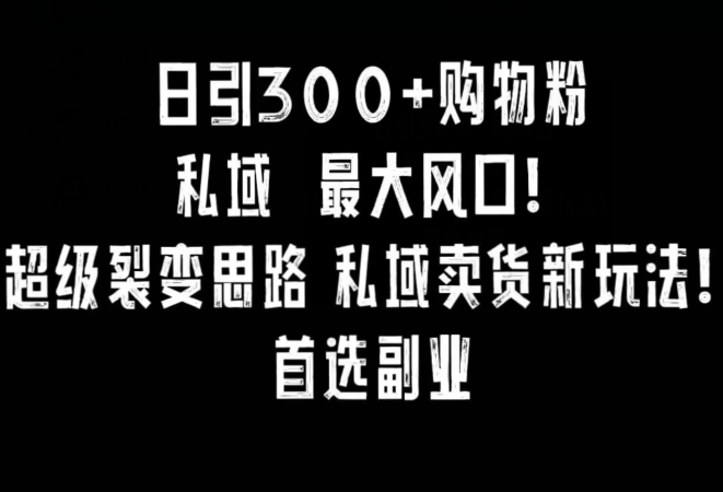 日引300+购物粉，超级裂变思路，私域卖货新玩法，小红书首选副业【揭秘】-文强博客