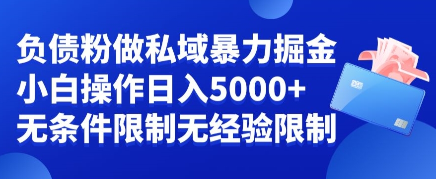 负债粉私域暴力掘金，小白操作入5000，无经验限制，无条件限制【揭秘】-文强博客