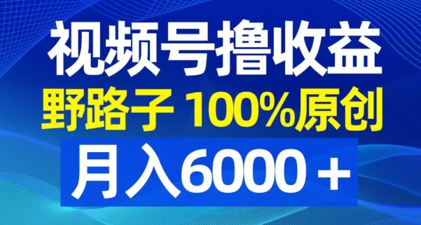 视频号野路子撸收益，100%原创，条条爆款，月入6000＋【揭秘】-文强博客