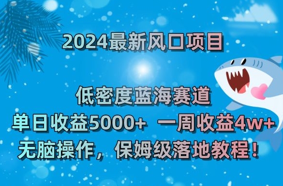 2024最新风口项目，低密度蓝海赛道，单日收益5000+，一周收益4w+！【揭秘】-文强博客