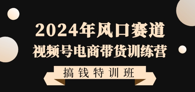 2024年风口赛道视频号电商带货训练营搞钱特训班，带领大家快速入局自媒体电商带货-文强博客