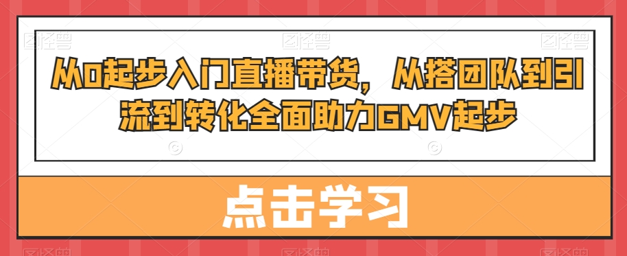 从0起步入门直播带货，​从搭团队到引流到转化全面助力GMV起步-文强博客