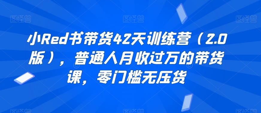 小Red书带货42天训练营（2.0版），普通人月收过万的带货课，零门槛无压货-文强博客