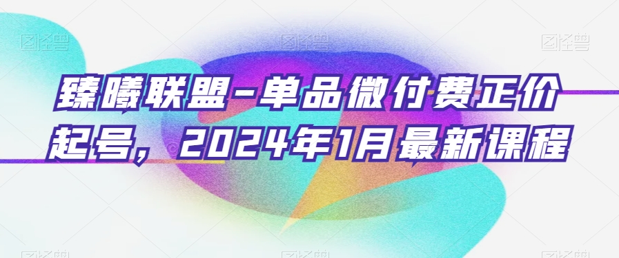 臻曦联盟-单品微付费正价起号，2024年1月最新课程-文强博客