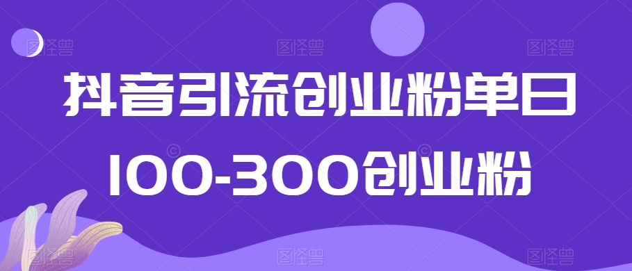 抖音引流创业粉单日100-300创业粉【揭秘】-文强博客