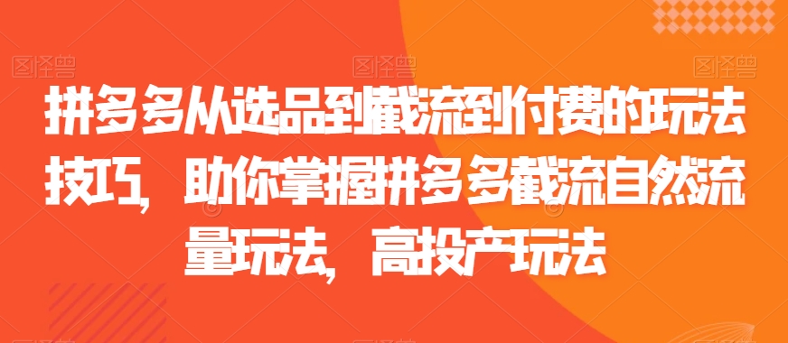 拼多多从选品到截流到付费的玩法技巧，助你掌握拼多多截流自然流量玩法，高投产玩法-文强博客