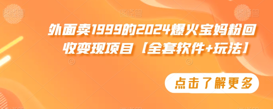 外面卖1999的2024爆火宝妈粉回收变现项目【全套软件+玩法】【揭秘】-文强博客