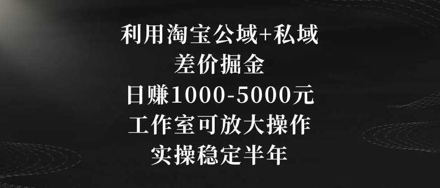 利用淘宝公域+私域差价掘金，日赚1000-5000元，工作室可放大操作，实操稳定半年【揭秘】-文强博客