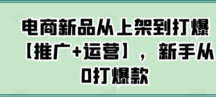 电商新品从上架到打爆【推广+运营】，新手从0打爆款-文强博客