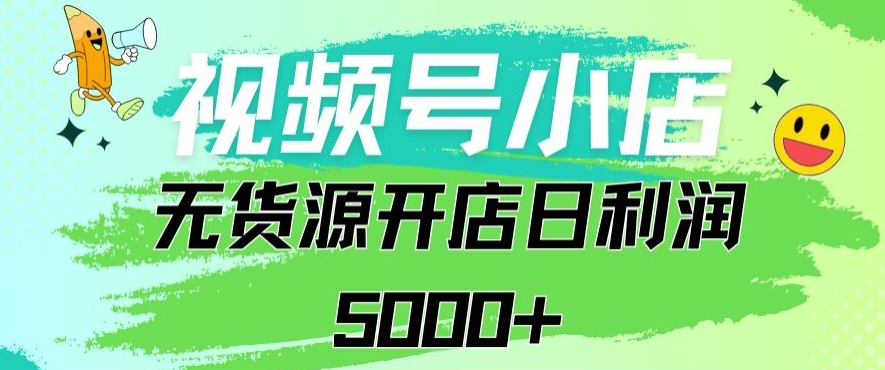 视频号无货源小店从0到1日订单量千单以上纯利润稳稳5000+【揭秘】-文强博客