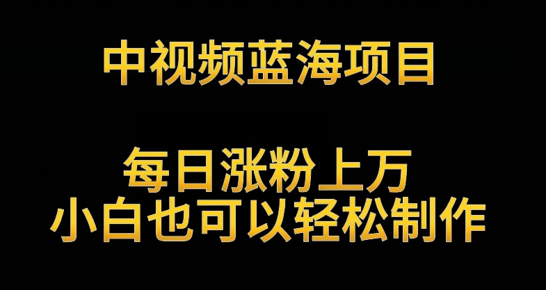 中视频蓝海项目，解读英雄人物生平，每日涨粉上万，小白也可以轻松制作，月入过万不是梦【揭秘】-文强博客