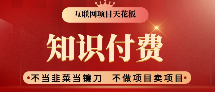 2024互联网项目天花板，新手小白也可以通过知识付费月入10W，实现财富自由【揭秘】-文强博客