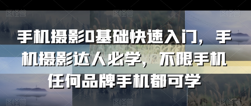 手机摄影0基础快速入门，手机摄影达人必学，不限手机任何品牌手机都可学-文强博客