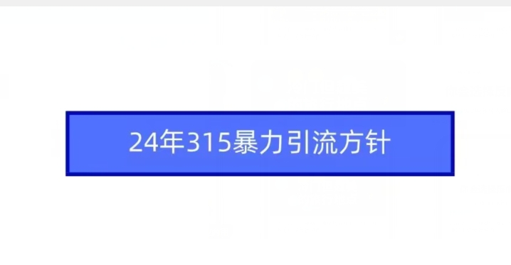 24年315暴力引流方针-文强博客