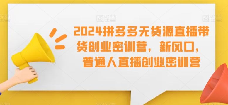 2024拼多多无货源直播带货创业密训营，新风口，普通人直播创业密训营-文强博客