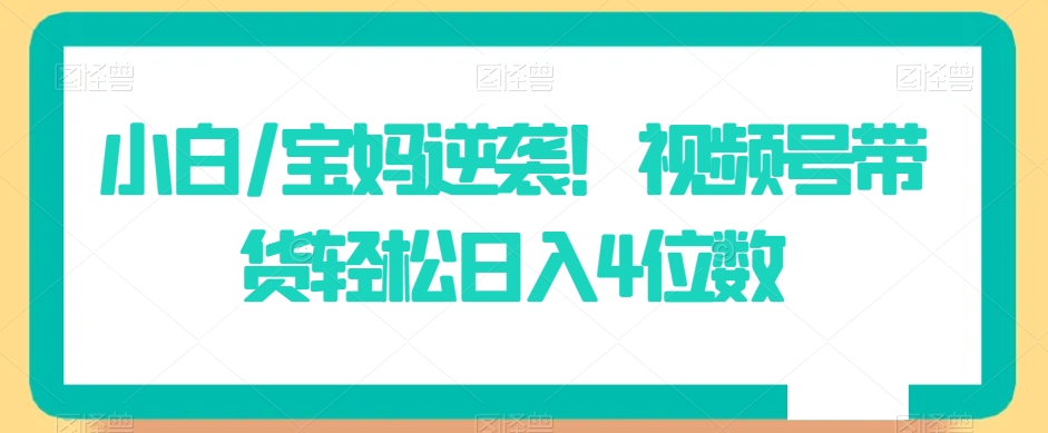 小白/宝妈逆袭！视频号带货轻松日入4位数【揭秘】-文强博客