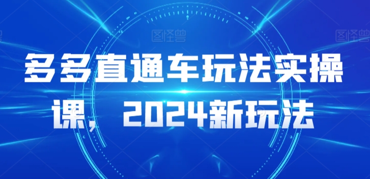 多多直通车玩法实操课，2024新玩法-文强博客