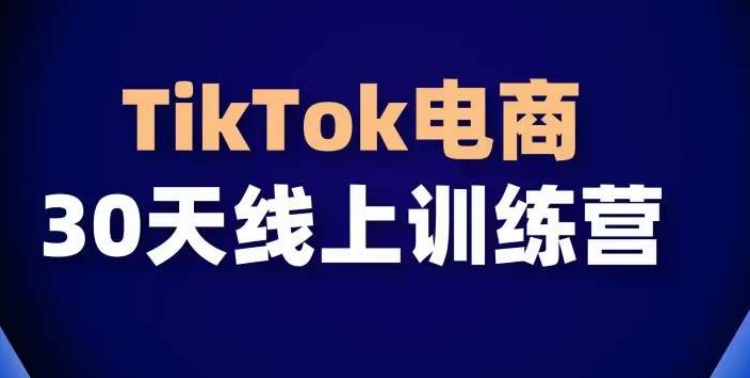 TikTok电商带货30天线上课，不可错过的全球流量洼地！-文强博客