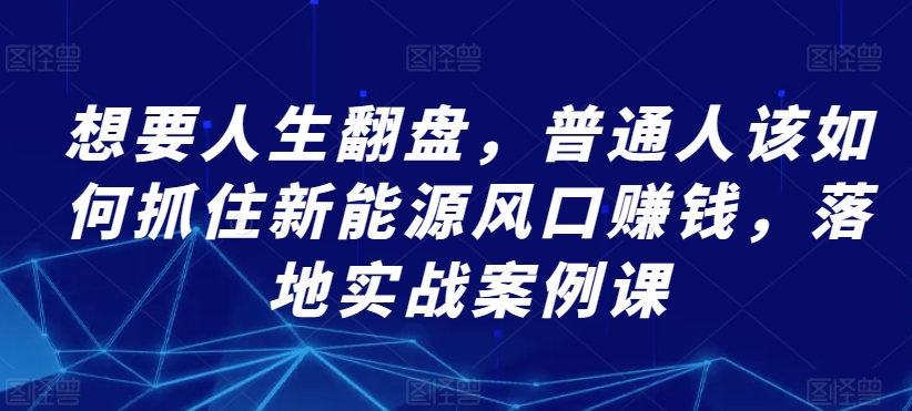 想要人生翻盘，普通人该如何抓住新能源风口赚钱，落地实战案例课-文强博客