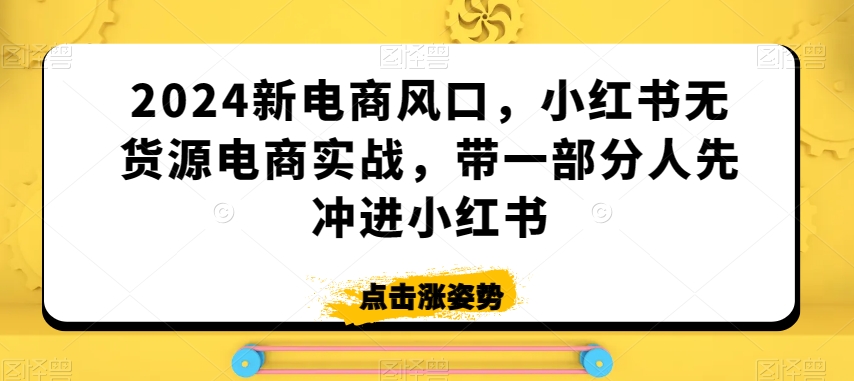 2024新电商风口，小红书无货源电商实战，带一部分人先冲进小红书-文强博客