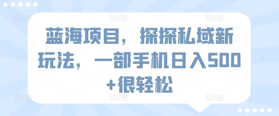 蓝海项目，探探私域新玩法，一部手机日入500+很轻松【揭秘】-文强博客