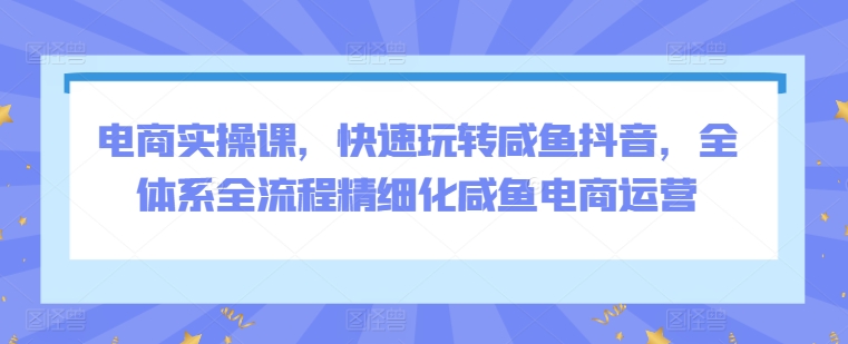 电商实操课，快速玩转咸鱼抖音，全体系全流程精细化咸鱼电商运营-文强博客