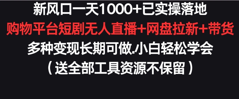 新风口一天1000+已实操落地购物平台短剧无人直播+网盘拉新+带货多种变现长期可做【揭秘】-文强博客