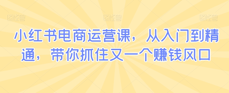 小红书电商运营课，从入门到精通，带你抓住又一个赚钱风口-文强博客