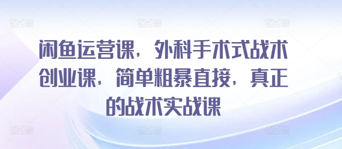 闲鱼运营课，外科手术式战术创业课，简单粗暴直接，真正的战术实战课-文强博客