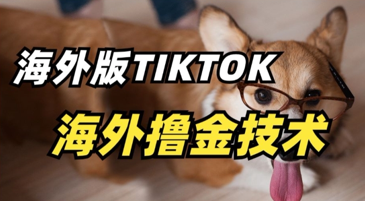 抖音海外版tiktok撸金技术，这个风口行业，赚钱真的不难【揭秘】-文强博客