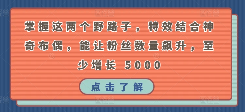 掌握这两个野路子，特效结合神奇布偶，能让粉丝数量飙升，至少增长 5000【揭秘】-文强博客